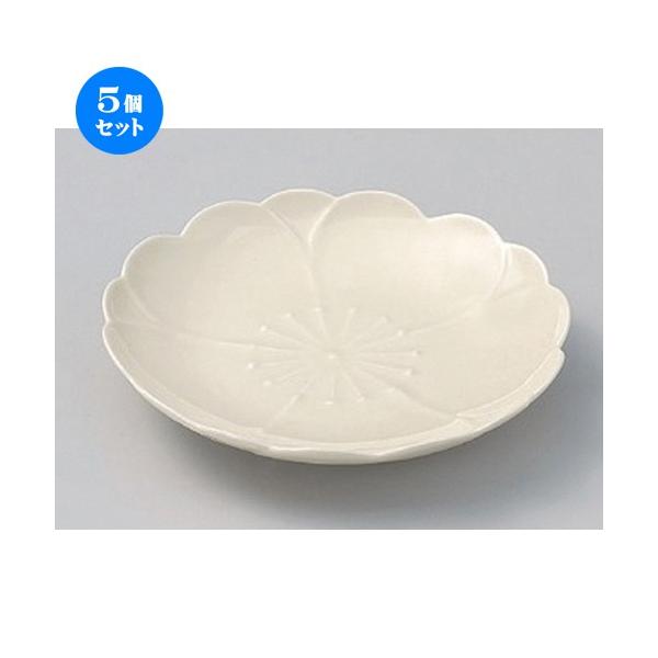 5Zbg  t[cM () M15cm [ 15 x 2cm 227g ] y   aH HX Ɩp z