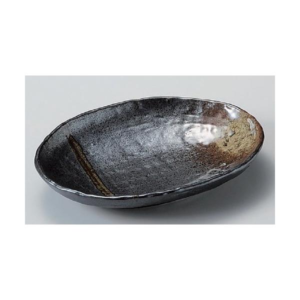  ȉ~M ؐΖڏM () [ 22.3 x 16.5 x 3.8cm 420g ] | ȉ~M aH mH  Ɩp