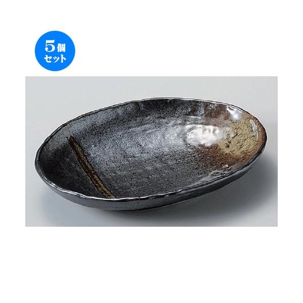 5Zbg ȉ~M ؐΖڏM () [ 22.3 x 16.5 x 3.8cm 420g ] | ȉ~M aH mH  Ɩp