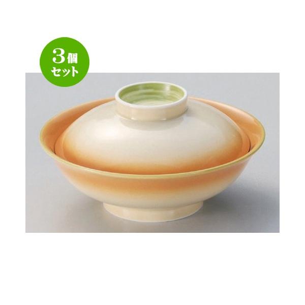 3�Z�b�g �� ���W�� �����ʕ��W�� [ 16.7 x 8.7cm 520g ] �y ���� ���� �a�H�� ���H�X �Ɩ��p �z