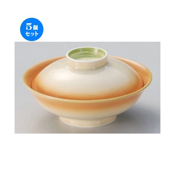 5�Z�b�g �� ���W�� �����ʕ��W�� [ 16.7 x 8.7cm 520g ] �y ���� ���� �a�H�� ���H�X �Ɩ��p �z