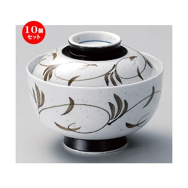 10Zbg  ~َqq n~َqq [ 12.3 x 10.5cm 400g ] y   aH HX Ɩp z