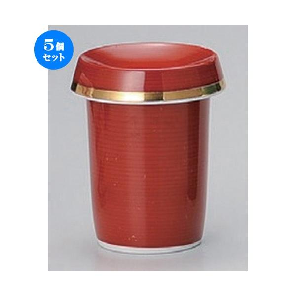 5Zbg  q Ԋq [ 6.2 x 9.5cm (170cc) 230g ] y B  aH HX Ɩp z