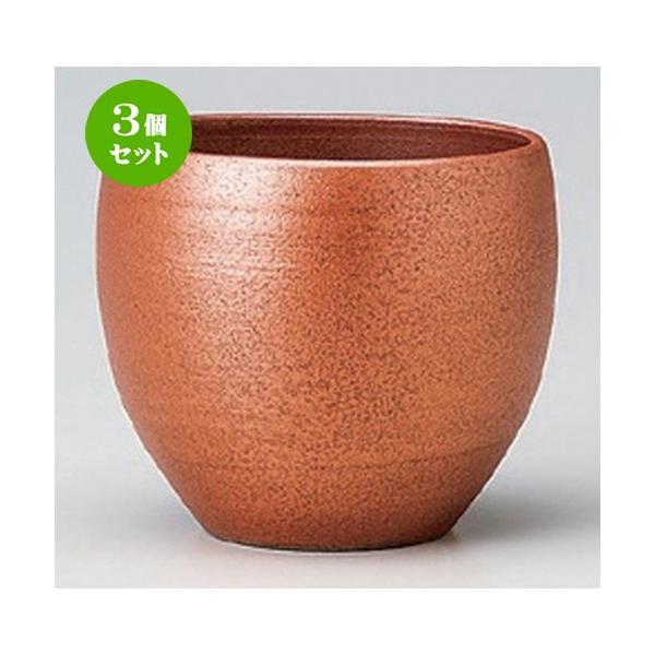 3Zbg  t[Jbv  () Jbv [ 9.5 x 8cm (320cc) 170g ] y B  aH HX Ɩp z