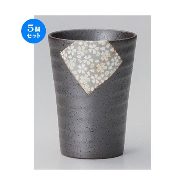 5Zbg  t[Jbv tɉt[Jbv [ 8.1 x 11.2cm 287g ] y B  aH HX Ɩp z