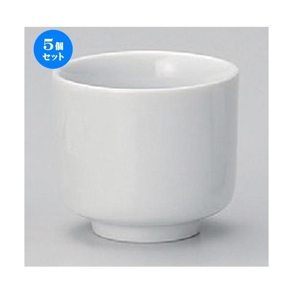 5Zbg  u փmڈꍇu [ 8.1 x 7.2cm (200cc) 239g ] y B  aH HX Ɩp z