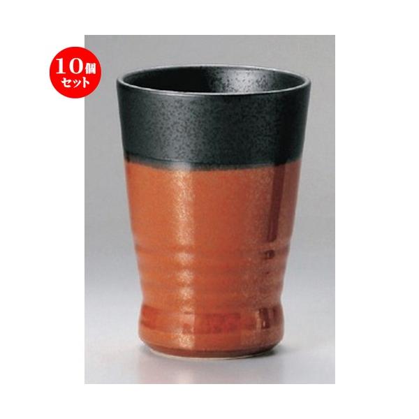 10Zbg  t[Jbv ԓSt[Jbv () [ 8.5 x 12cm (350cc) 287g ] y B  aH HX Ɩp z