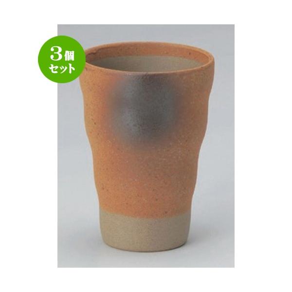 3Zbg  t[Jbv Ԃ炫g^u[ [ 7.8 x 11cm (260cc) 160g ] y B  aH HX Ɩp z