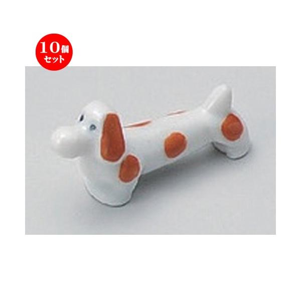 10Zbg  u _bNX () Ԕu [ 4.8cm 20g ] y   aH HX Ɩp z