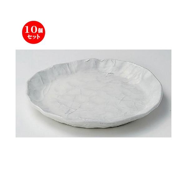 10Zbg  ˎM ܃pX^M [ 25 x 2.6cm 743g ] y   aH HX Ɩp ˏ \o  z