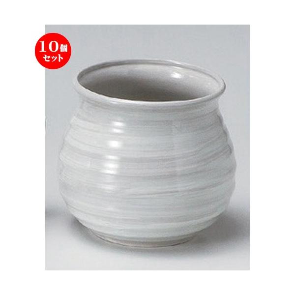 10Zbg  A іڃA [ 11.8 x 12cm 480g ] y   aH HX Ɩp p[eB[ ~   z