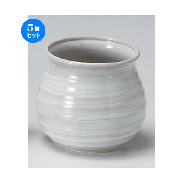 5Zbg  A іڃA [ 11.8 x 12cm 480g ] y   aH HX Ɩp p[eB[ ~   z