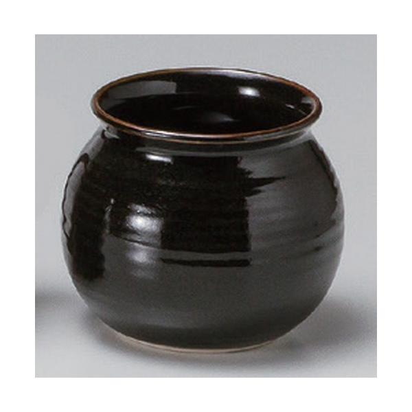  A MqVڃA [ 11 x 11.5cm 600g ] y   aH HX Ɩp p[eB[ ~   z