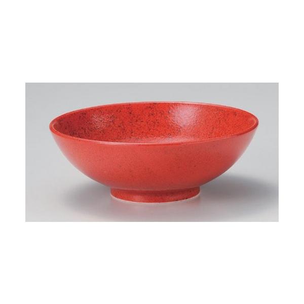  p MqԔ_6.5 [ 19.6 x 6.7cm 579g ] y   aH HX Ɩp z