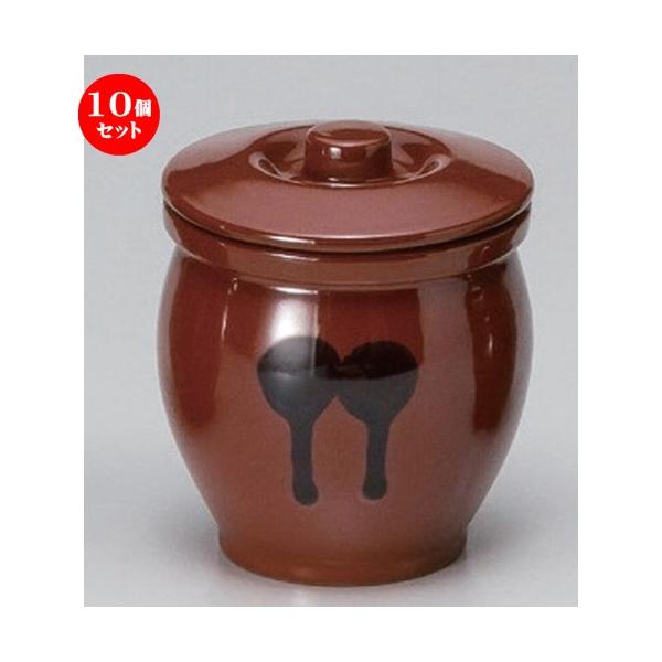 10Zbg   Wt~jJ0.3 [ 10 x 11.5cm (0.54L) 500g ] y   aH HX Ɩp ۑe z