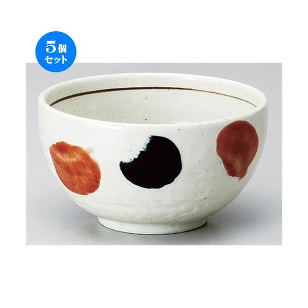 5Zbg  V[Y FE`5.5 [ 17 x 9.5cm 770g ] y   aH HX Ɩp z