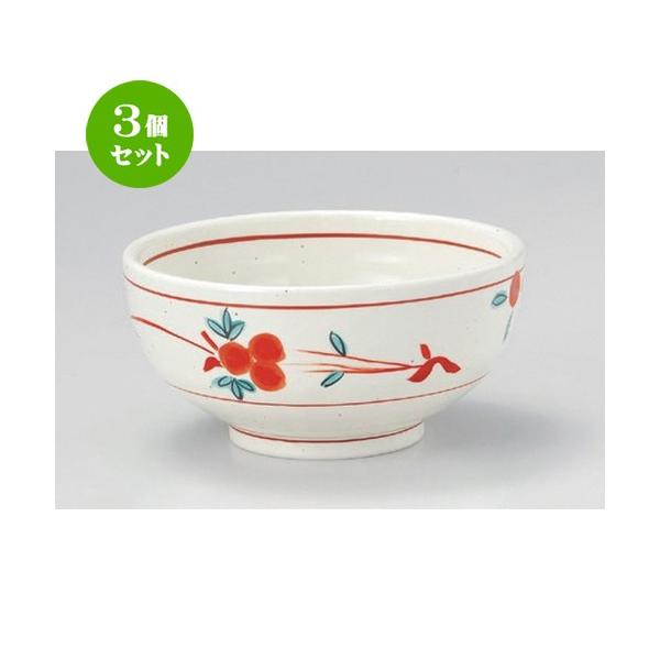 3�Z�b�g �� ���p�� ���ԊG5.5�� [ 17.2 x 8.3cm 590g ] �y ���� ���� �a�H�� ���H�X �Ɩ��p �z