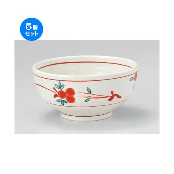 5�Z�b�g �� ���p�� ���ԊG5.5�� [ 17.2 x 8.3cm 590g ] �y ���� ���� �a�H�� ���H�X �Ɩ��p �z