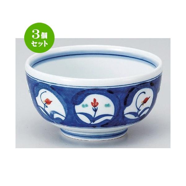 3�Z�b�g �� ���p�� ���_�~���{�ԊG��5.0�� [ 15.3 x 8.3cm 512g ] �y ���� ���� �a�H�� ���H�X �Ɩ��p �z