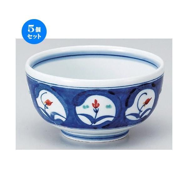 5�Z�b�g �� ���p�� ���_�~���{�ԊG��5.0�� [ 15.3 x 8.3cm 512g ] �y ���� ���� �a�H�� ���H�X �Ɩ��p �z