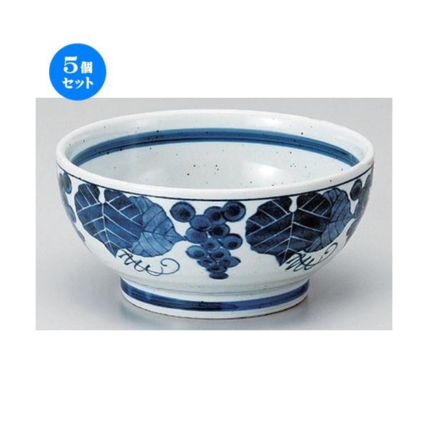 5Zbg  p Ԃǂ5.5㘥 [ 17 x 9cm 720g ] y   aH HX Ɩp z