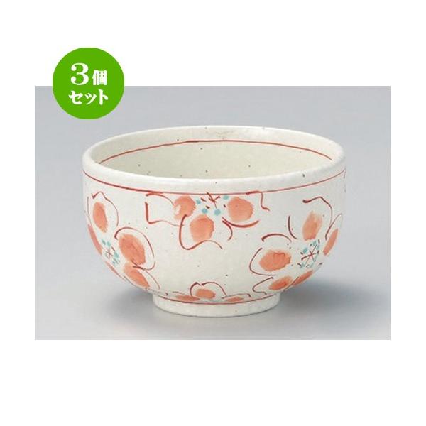 3Zbg  pq ԊGԖ4.2 [ 13 x 7.8cm 380g ] y   aH HX Ɩp z