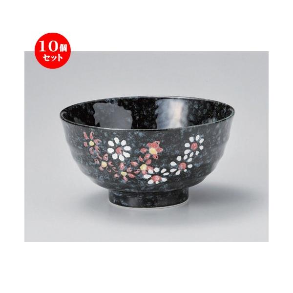 10Zbg  p ԏ5.5p [ 17 x 8.9cm 525g ] y   aH HX Ɩp z