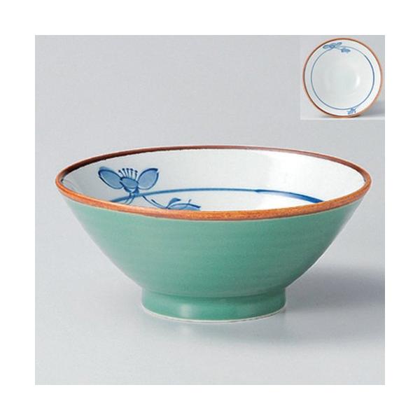   qXC~փ5.8 [ 17.5 x 7cm 484g ] y   aH HX Ɩp z