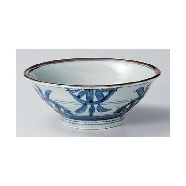   ÐԖ5.8 [ 17.6 x 7.5cm 546g ] y   aH HX Ɩp z