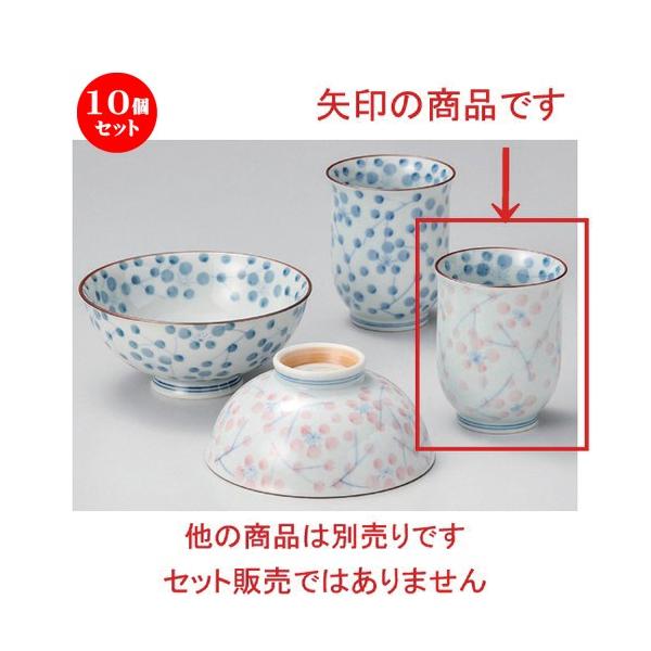 10Zbg  r Ђ܂蓒  [ 6.5 x 8cm 120g ] y   aH HX Ɩp vwq yA LOi z