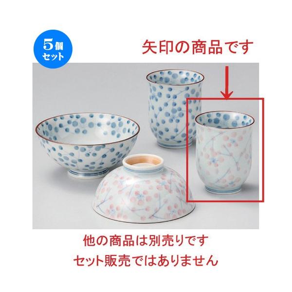 5Zbg  r Ђ܂蓒  [ 6.5 x 8cm 120g ] y   aH HX Ɩp vwq yA LOi z