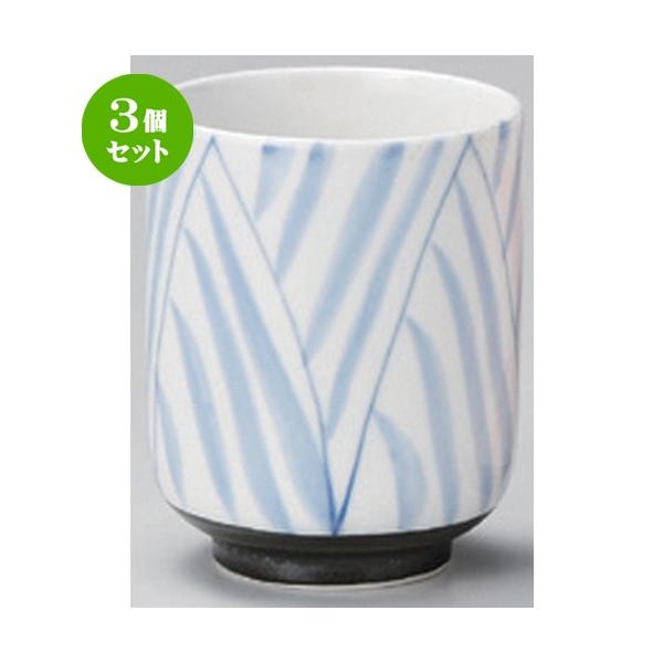 3Zbg  g SXԎ\ [ 6.6 x 8.4cm 150g ] y   aH HX Ɩp vw yA  蕨 z