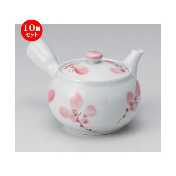 10Zbg  }{ }{ (M) [ 11 x 8cm (400cc) 300g ] y   aH HX Ɩp aJtF Ö z