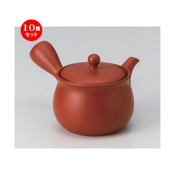 10Zbg  튊}{ ԋ{D܌`n [ 330cc 290g ] y   aH HX Ɩp z