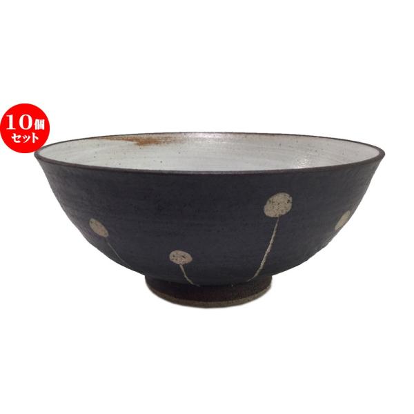 10Zbg  vwq ʏ\啽 [ 12.5 x 5.5cm 170g ] y   aH HX Ɩp vwq yA LOi z