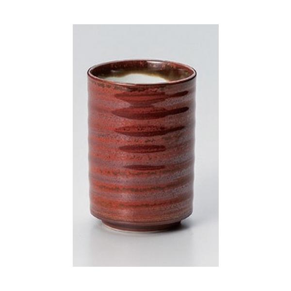  i ֎KnPؗ [ 6.9 x 10cm (250cc) 235g ] y i  aH HX Ɩp ] z