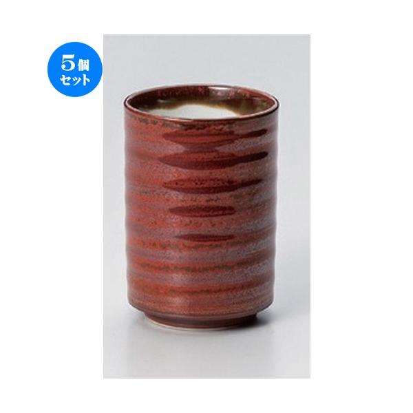 5Zbg  i ֎KnPؗ [ 6.9 x 10cm (250cc) 235g ] y i  aH HX Ɩp ] z