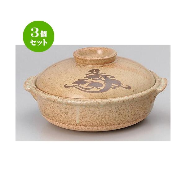 3Zbg  Lcēy 10[y [ 30 x 16.5cm 3500g ] y   aH HX Ɩp p[eB[ ~   z
