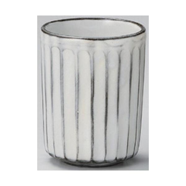  g ̂\  [ 7 x 9cm (180cc) 166g ] y   aH HX Ɩp vw yA  蕨 z