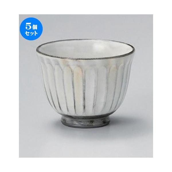 5Zbg   ̂\oV [ 8.8 x 6.5cm (170cc) 149g ] y   aH HX Ɩp aJtF Ö z