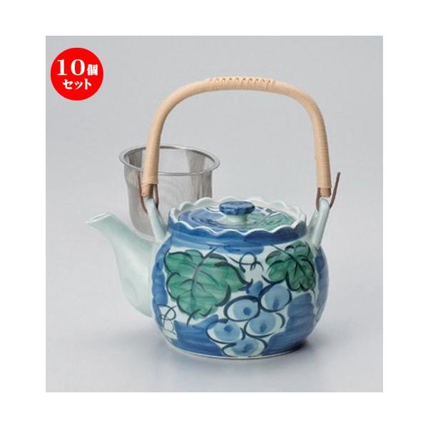 10Zbg  Lcēyr ZԂǂGUt6yr [ 900cc 460g ] y   aH HX Ɩp z