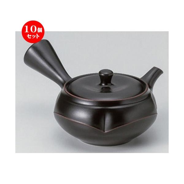 10Zbg  튊}{ FK썕DbR`і [ 270cc 280g ] y   aH HX Ɩp z