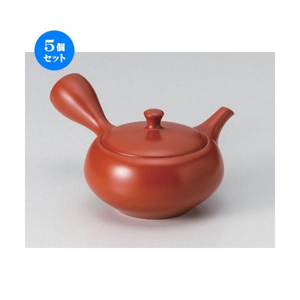 5Zbg  튊}{ FKD`nі [ 260cc 250g ] y   aH HX Ɩp z