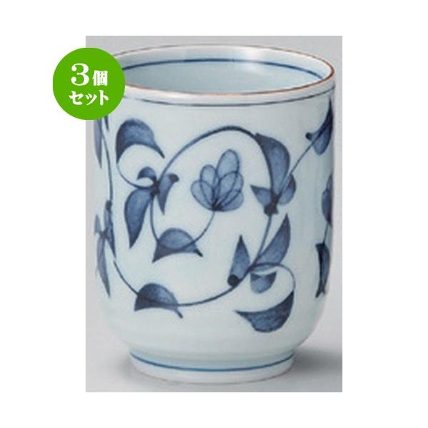 3Zbg  g ԓ^^ () [ 6.5 x 8.1cm (180cc) 128g ] y   aH HX Ɩp vw yA  蕨 z