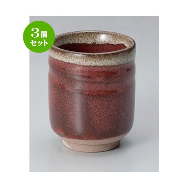 3Zbg  i Ԃ̂ӓ [ 7 x 8.9cm (200cc) 220g ] y i  aH HX Ɩp ] z