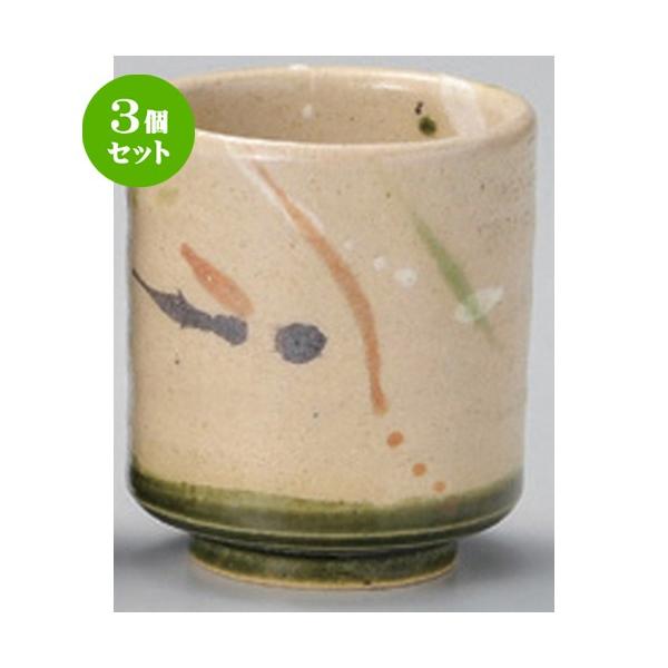 3Zbg  g 펵cD  [ 7 x 8.2cm (210cc) 186g ] y   aH HX Ɩp vw yA  蕨 z