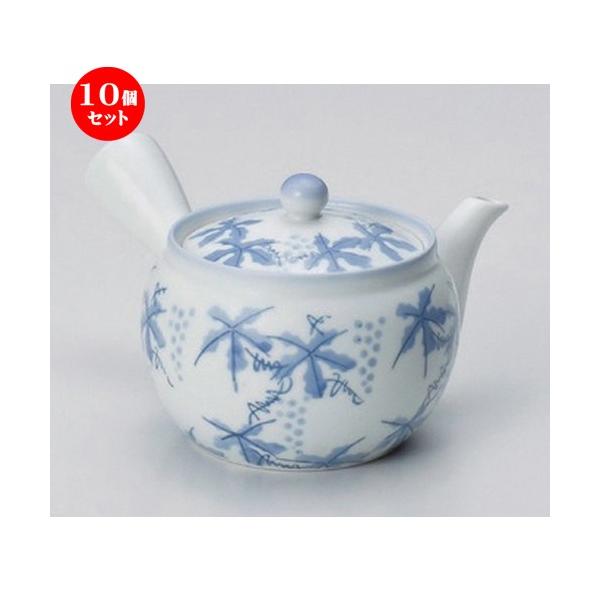 10Zbg  Lcċ}{ ԂǂM}{ [ 300cc 330g ] y   aH HX Ɩp z