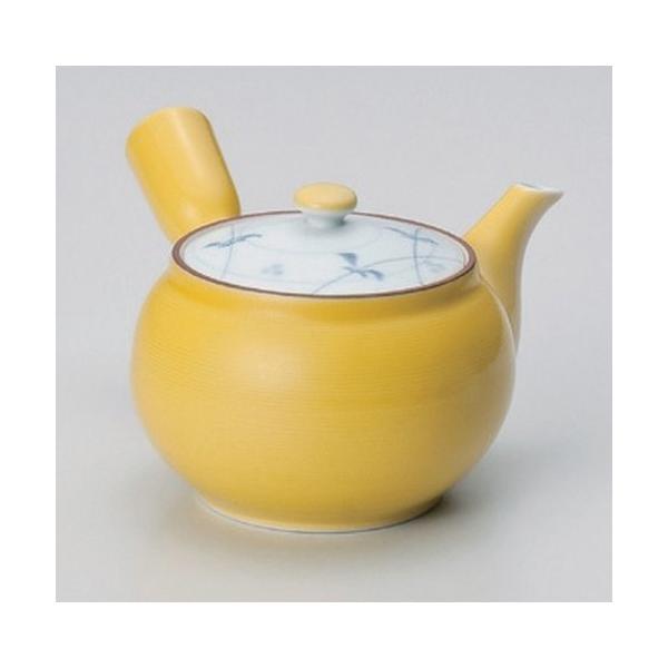  Lcċ}{ ֑M}{ [ 350cc 310g ] y   aH HX Ɩp z