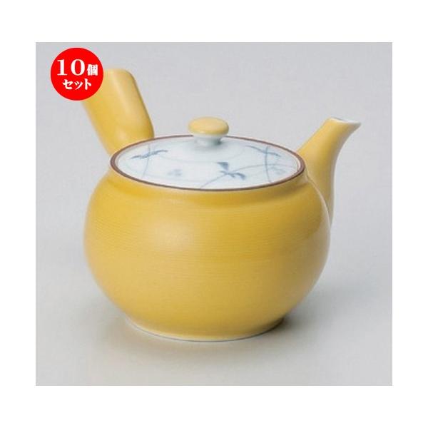 10Zbg  Lcċ}{ ֑M}{ [ 350cc 310g ] y   aH HX Ɩp z