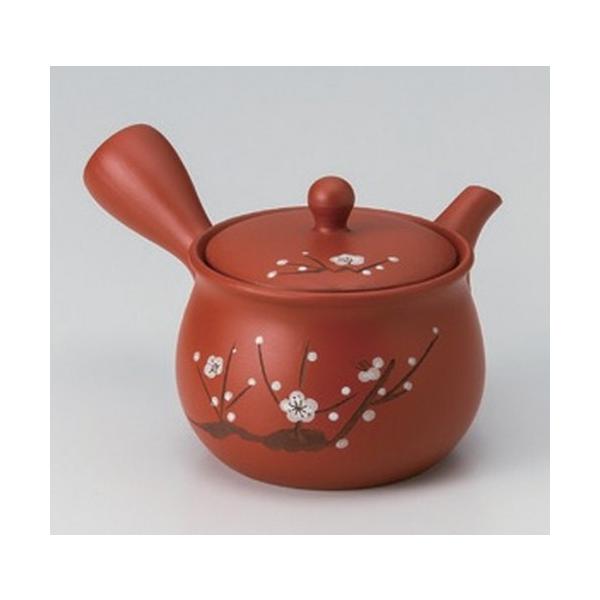  튊}{ ԋ{ D܌`~  [ 330cc 290g ] y   aH HX Ɩp z